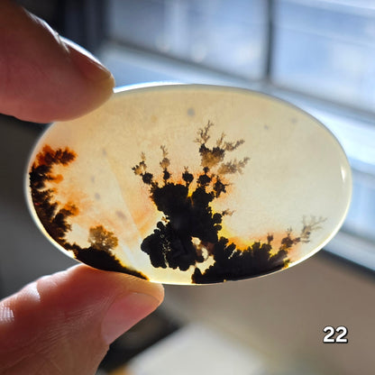 #22 Dendritic Quartz