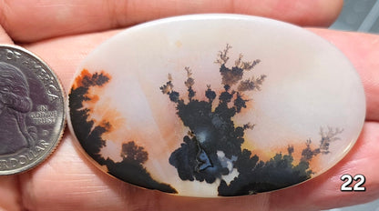 #22 Dendritic Quartz