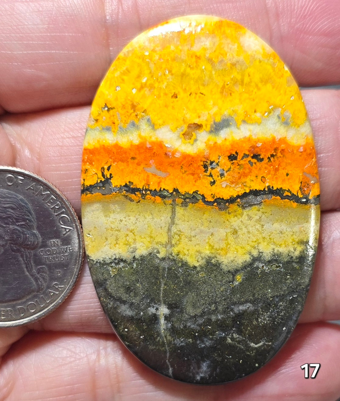 #17 Bumblebee Jasper