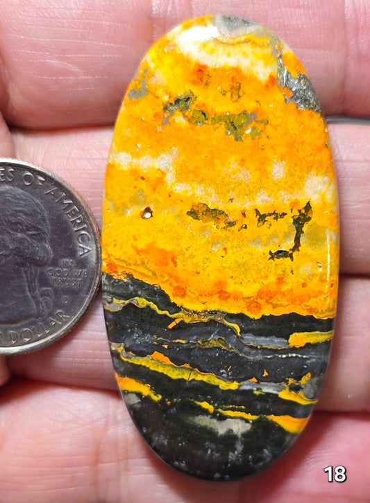#18 Bumblebee Jasper