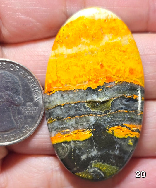 #20 Bumblebee Jasper