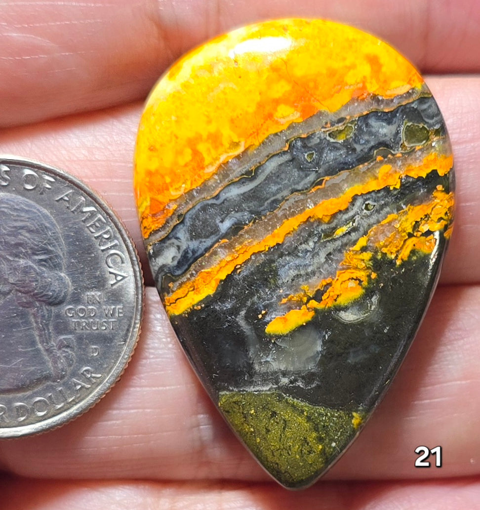 #21 Bumblebee Jasper