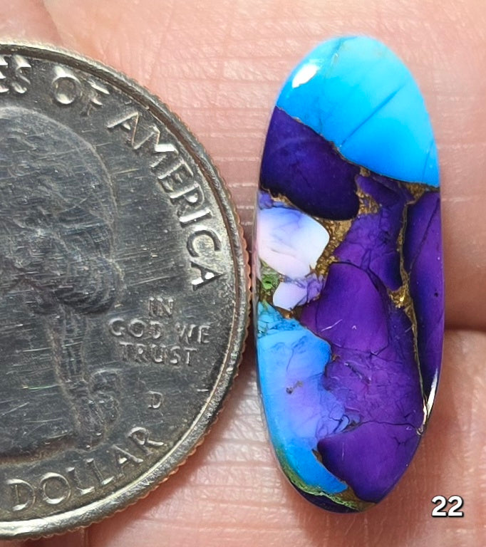 #22 Violet Blue Dahlia