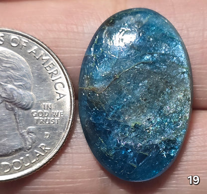 #19 Flashy Apatite