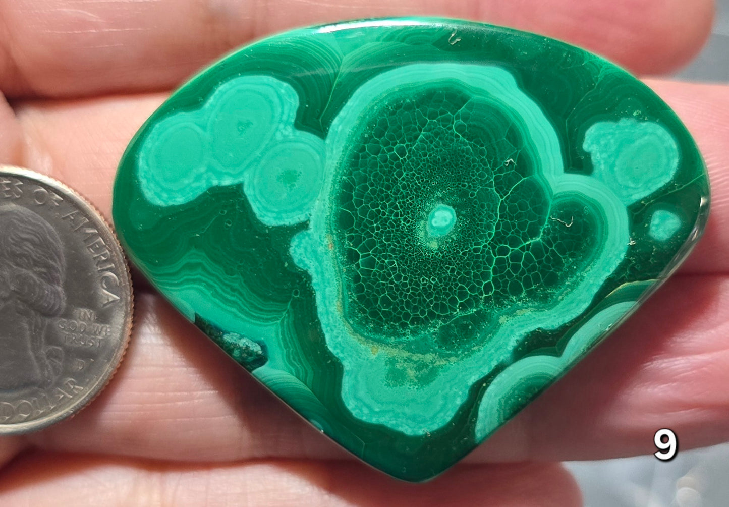 #9 Collector-Grade Classic Malachite Cabochon