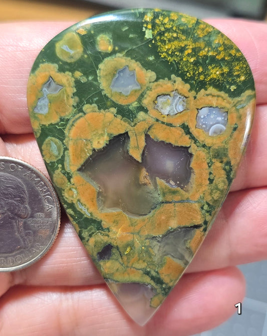 #1 Collector Statement Cabochon – Orbicular Rhyolite (Rainforest Jasper)