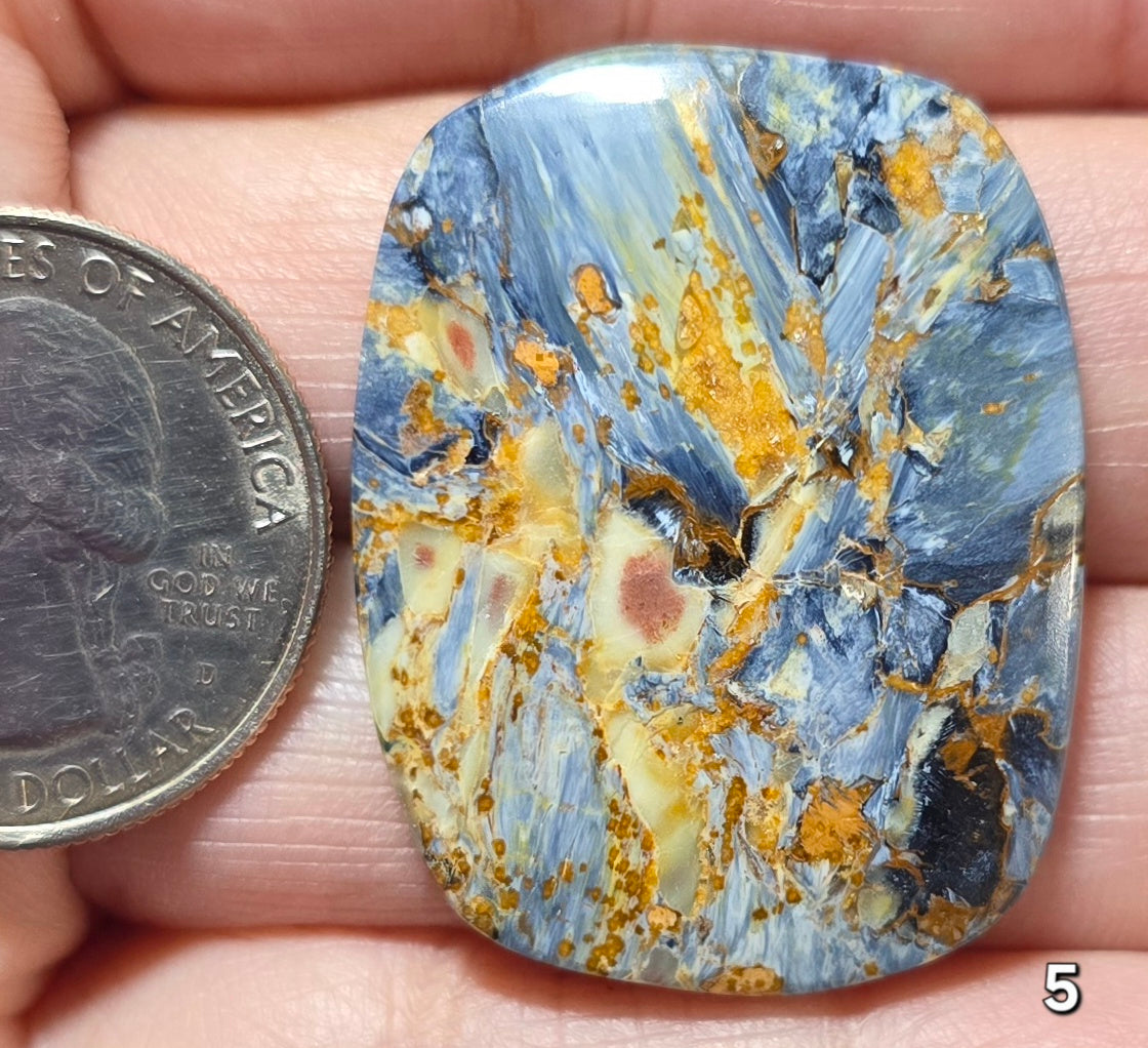 #5 Classic Pietersite