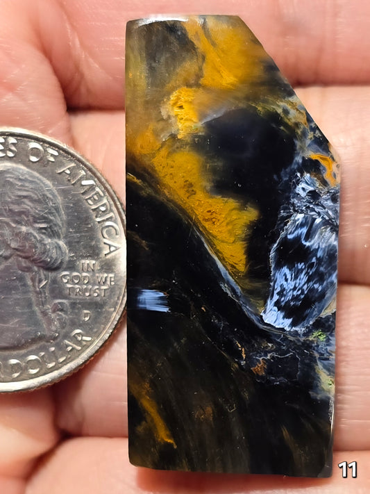 #11 Collector Statement Pietersite Slice