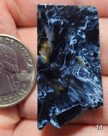 #14 Collector Statement Pietersite Slice