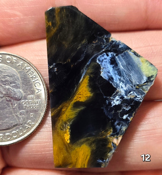 #12 Collector Statement Pietersite Slice