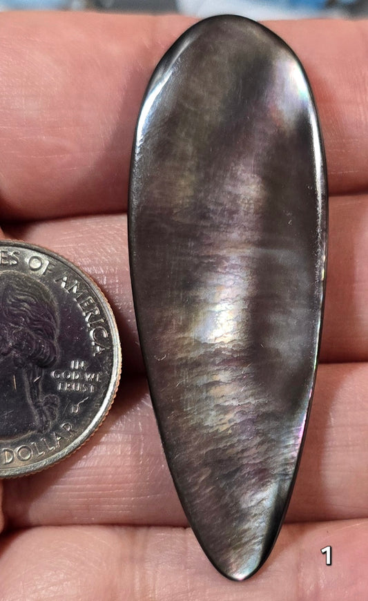 #1 Black Lip Mother-of-Pearl