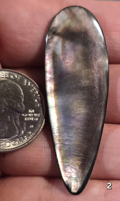 #2 Black Lip Mother-of-Pearl