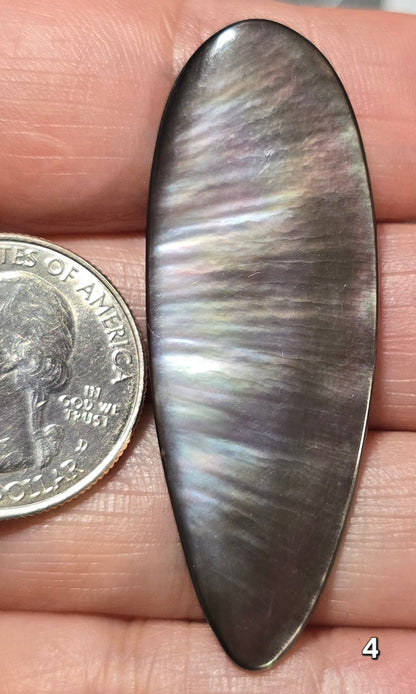 #4 Black Lip Mother-of-Pearl