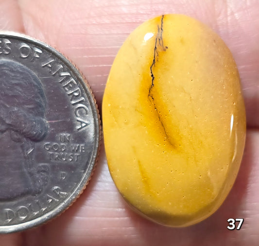 #37 Classic Mookaite Jasper