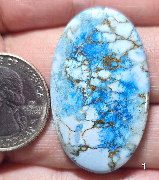 #1 Azure Wild Horse Jasper