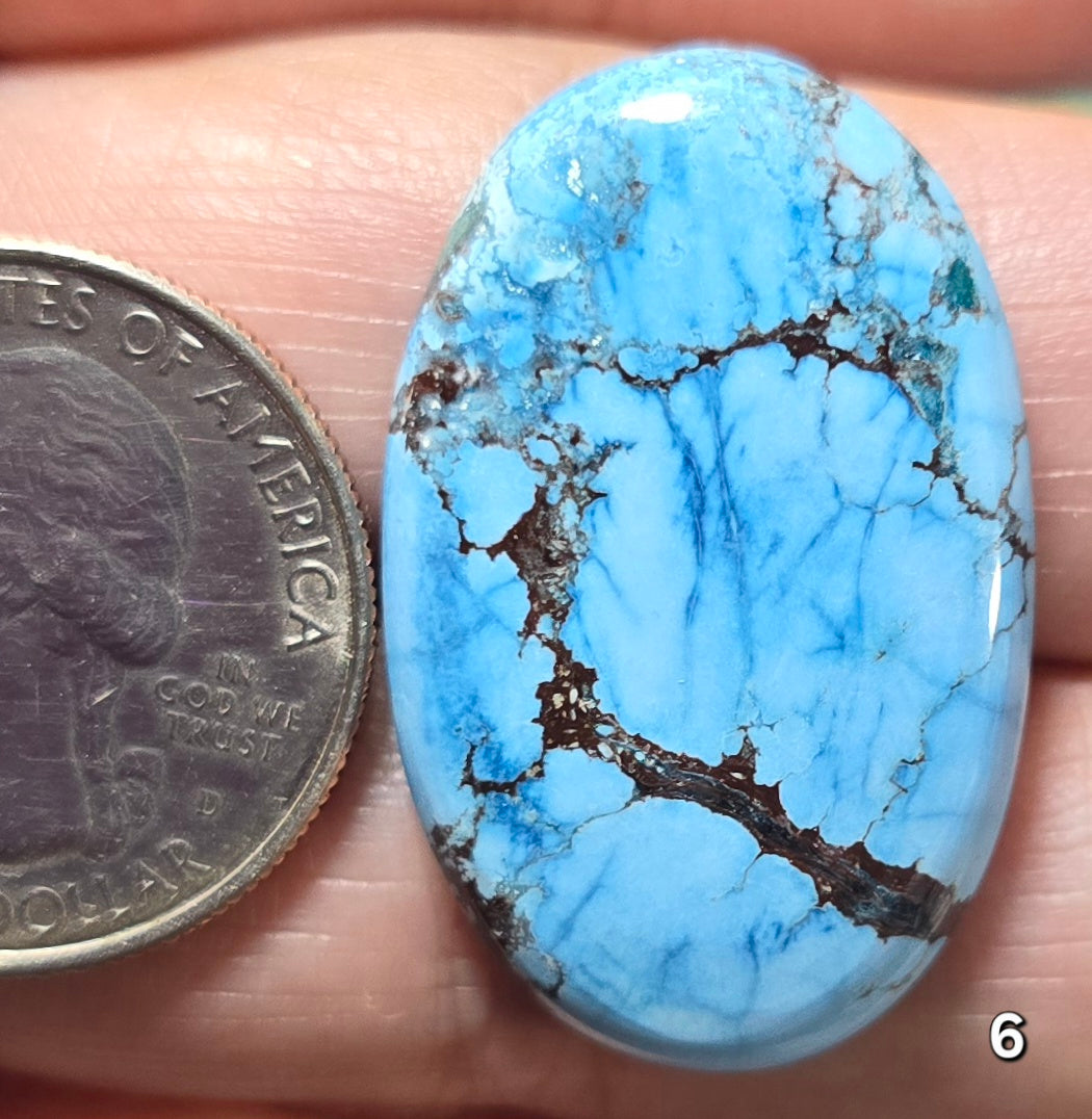 #6 Azure Wild Horse Jasper