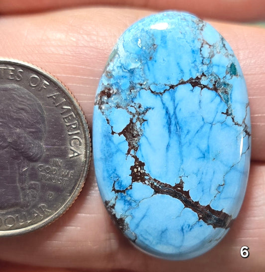 #6 Azure Wild Horse Jasper