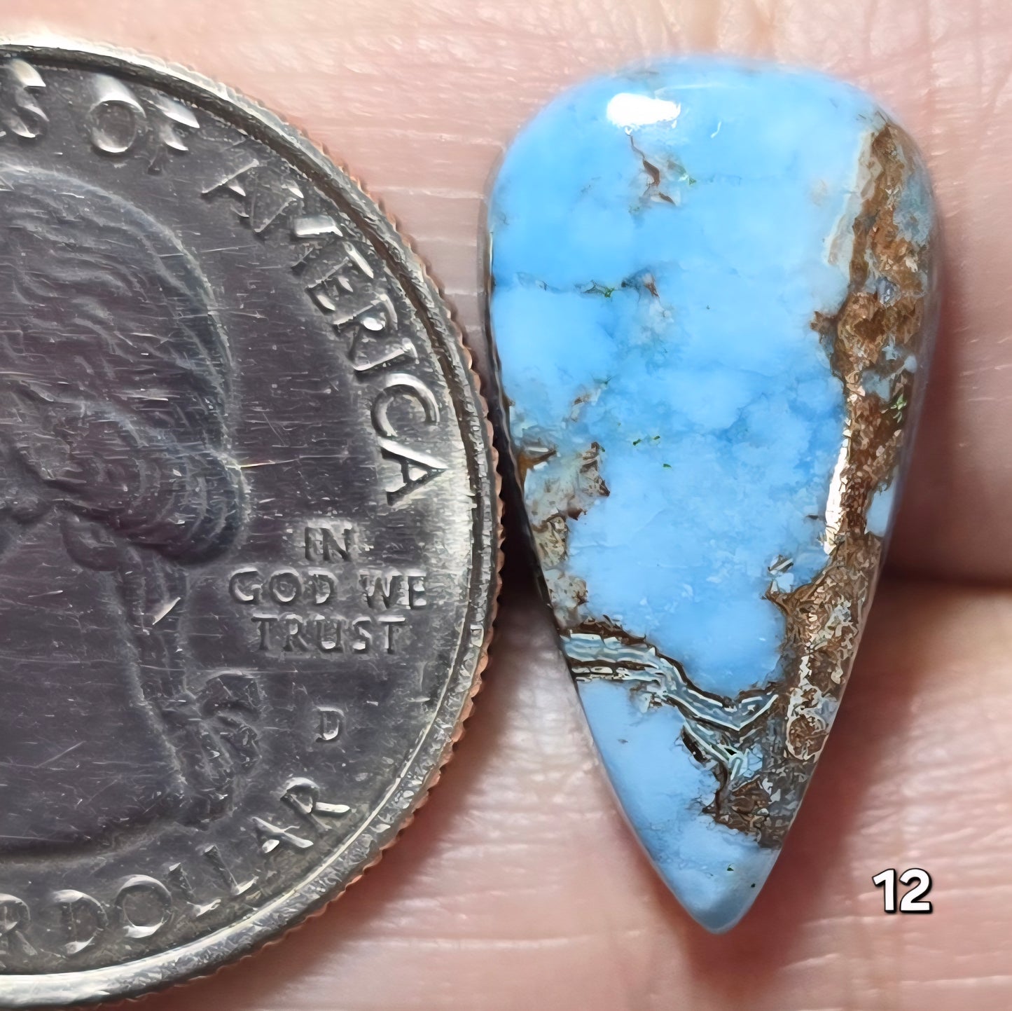 #12 Azure Wild Horse Jasper