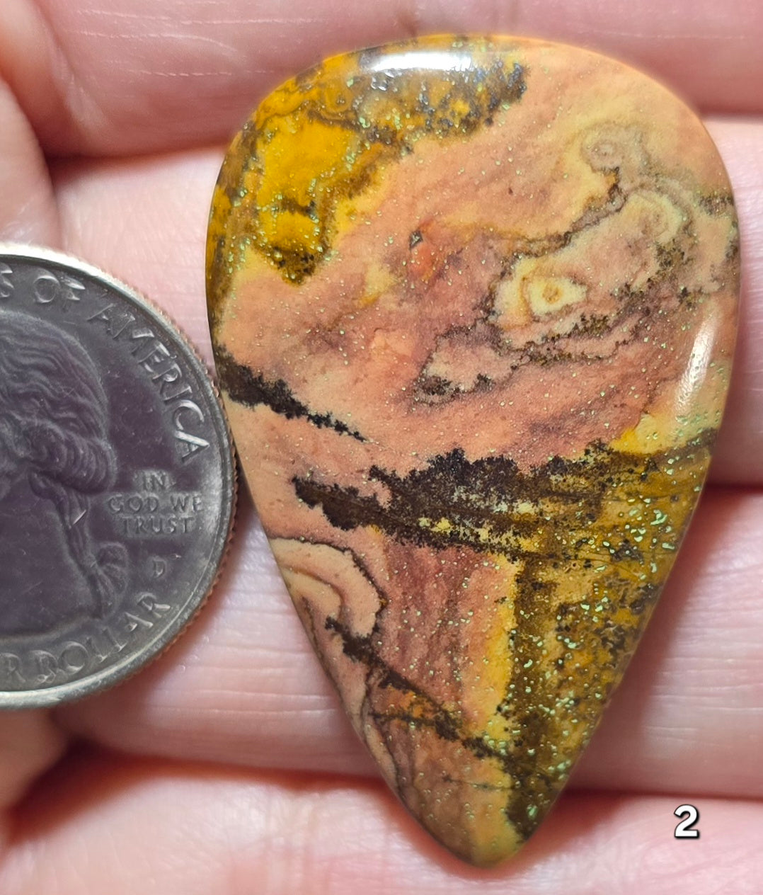 #2 Australian Picture Jasper