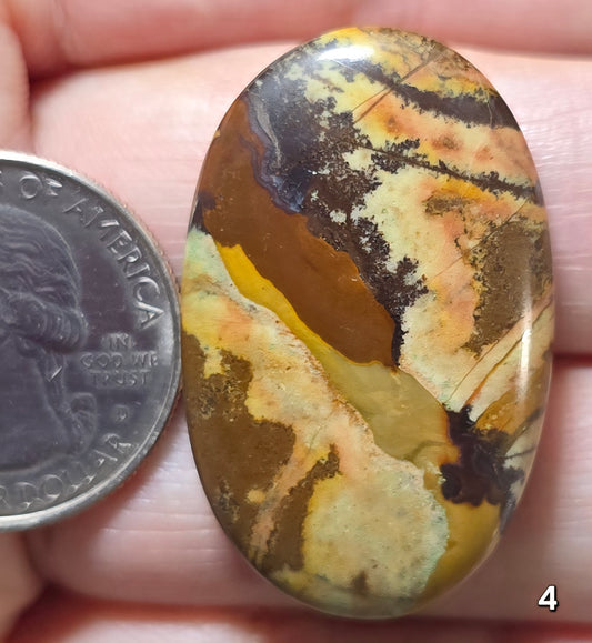 #4 Australian Picture Jasper