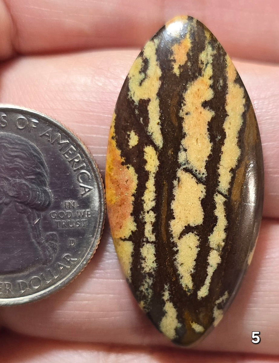 #5 Australian Picture Jasper