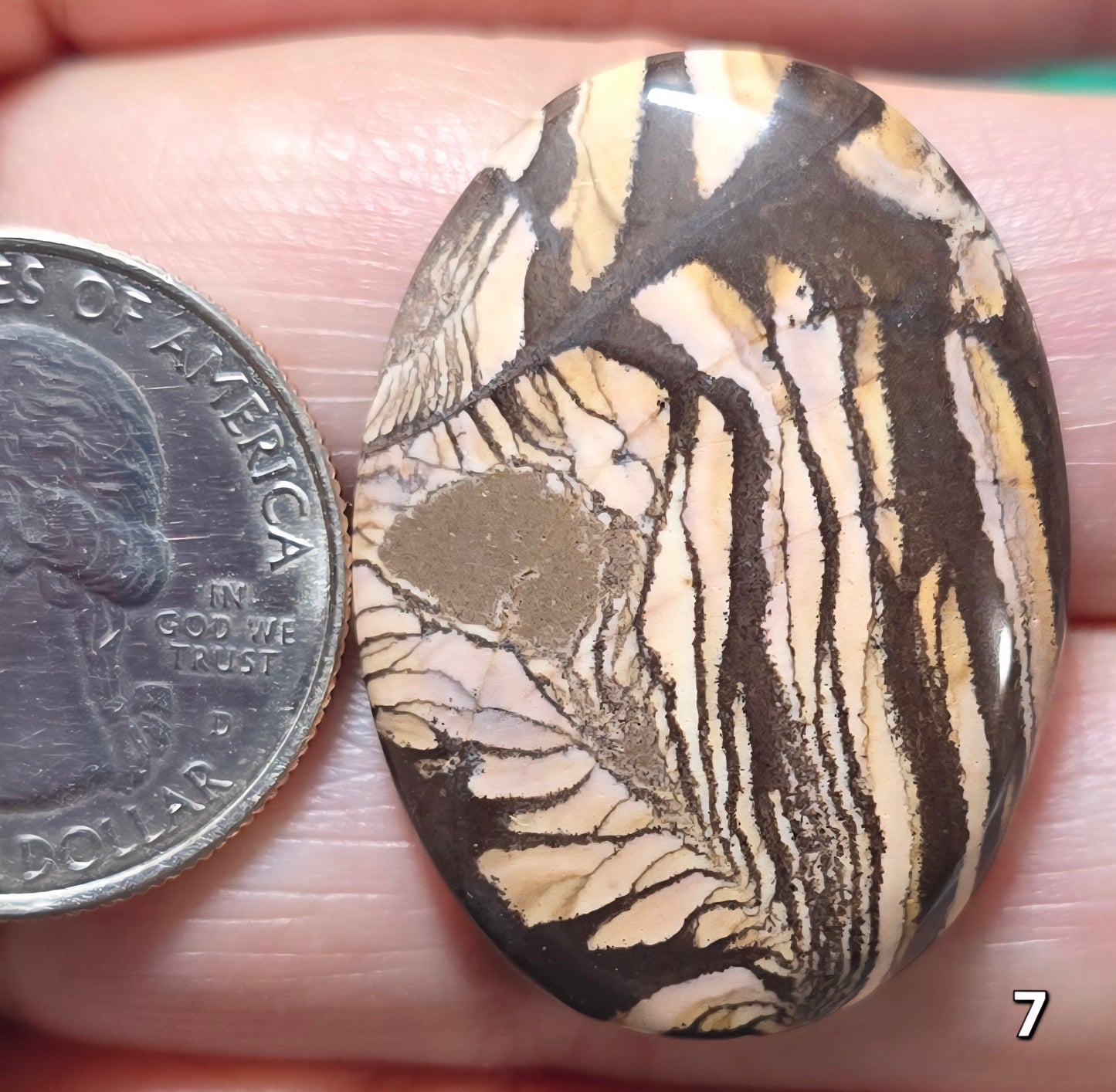 #7 Australian Picture Jasper