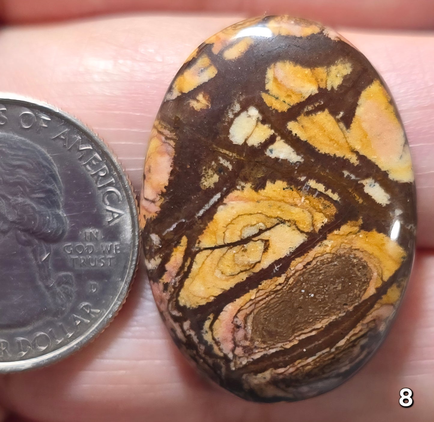#8 Australian Picture Jasper