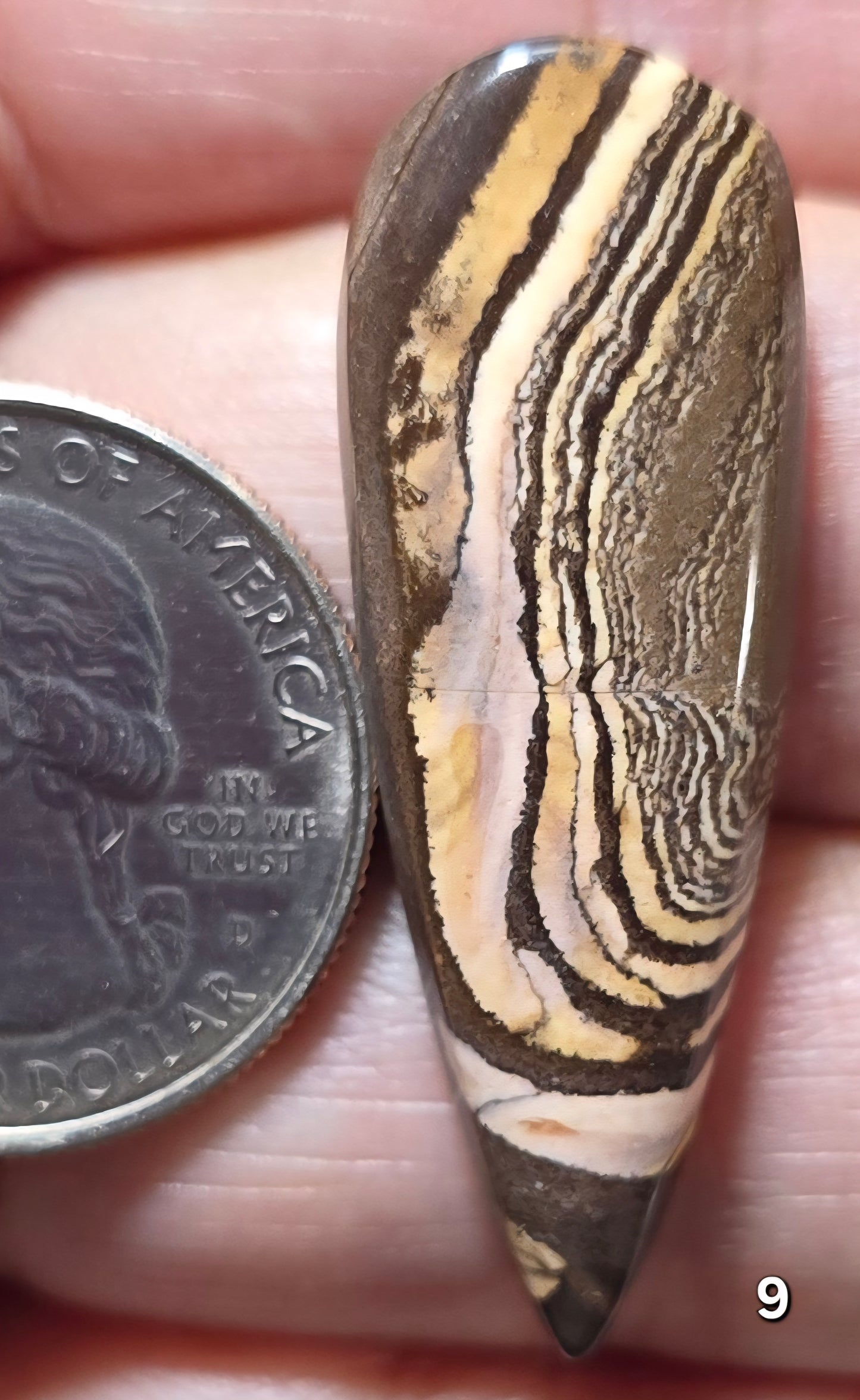 #9 Australian Picture Jasper