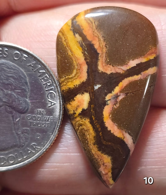 #10 Australian Picture Jasper