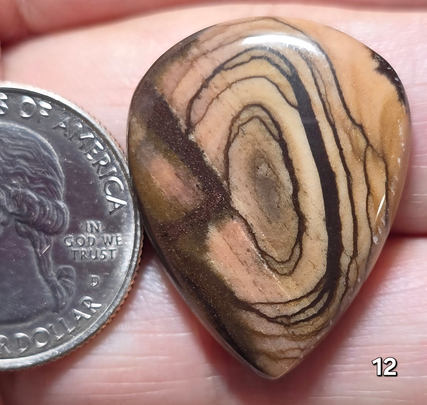 #12 Australian Picture Jasper