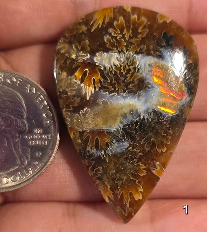 #1 Rare Red Flash Ammonite Fossil Cabochon – Collector Statement Piece