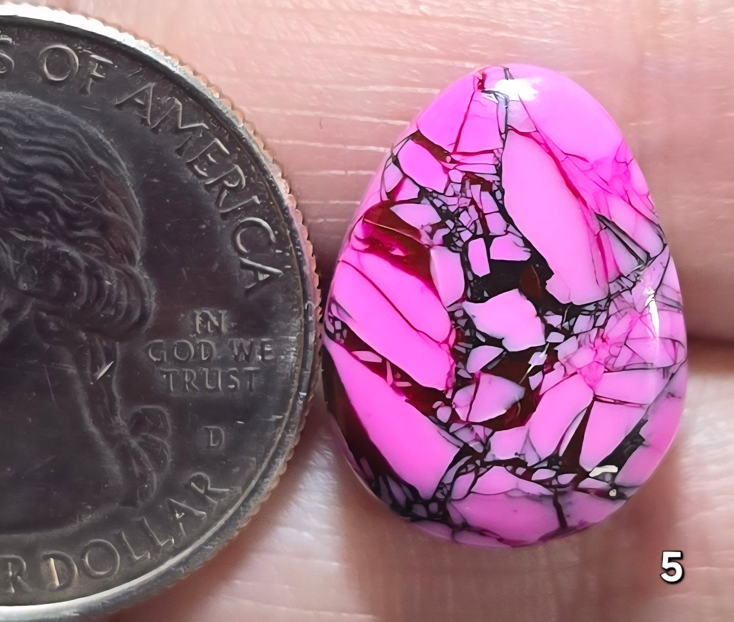 #5 Cherry Blossom Dahlia