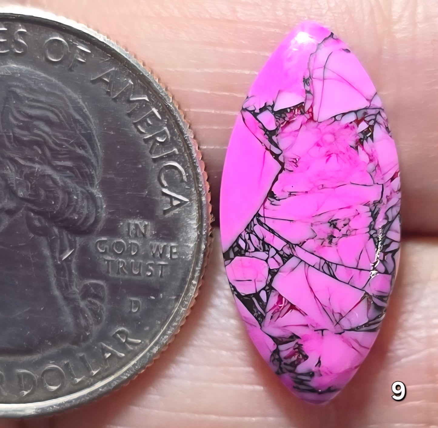 #9 Cherry Blossom Dahlia