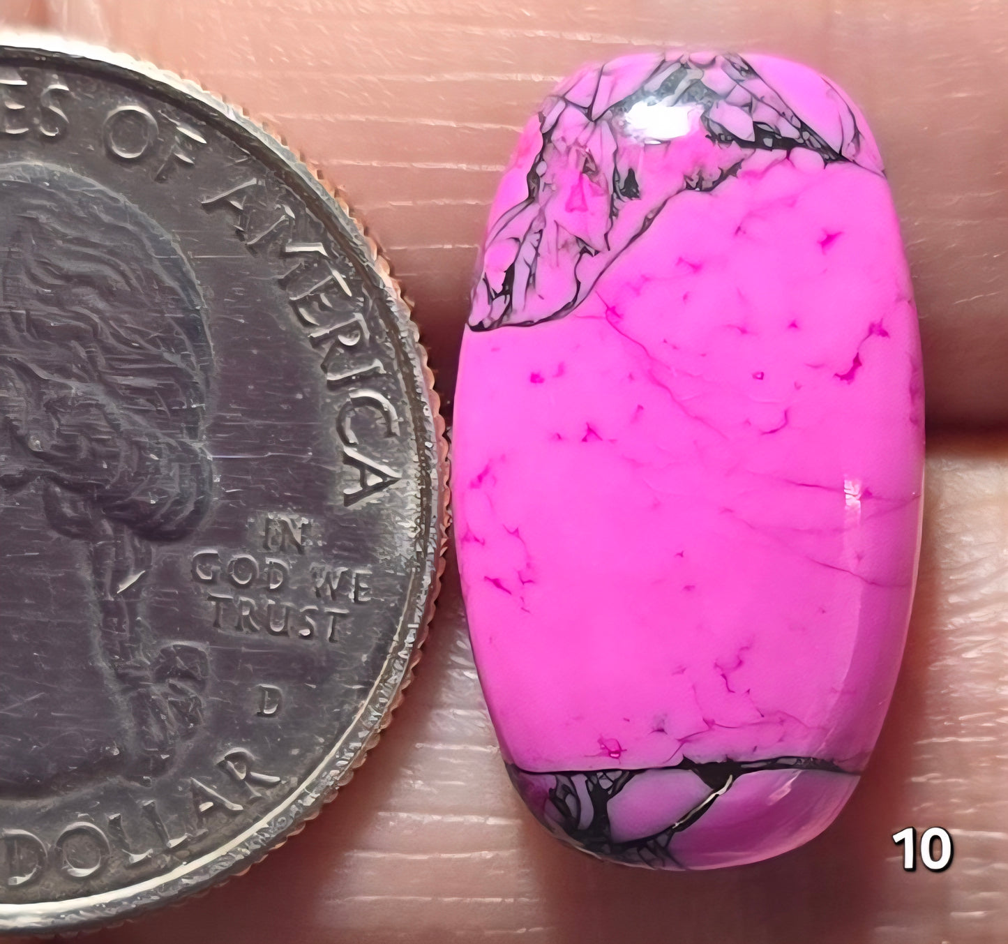 #10 Cherry Blossom Dahlia