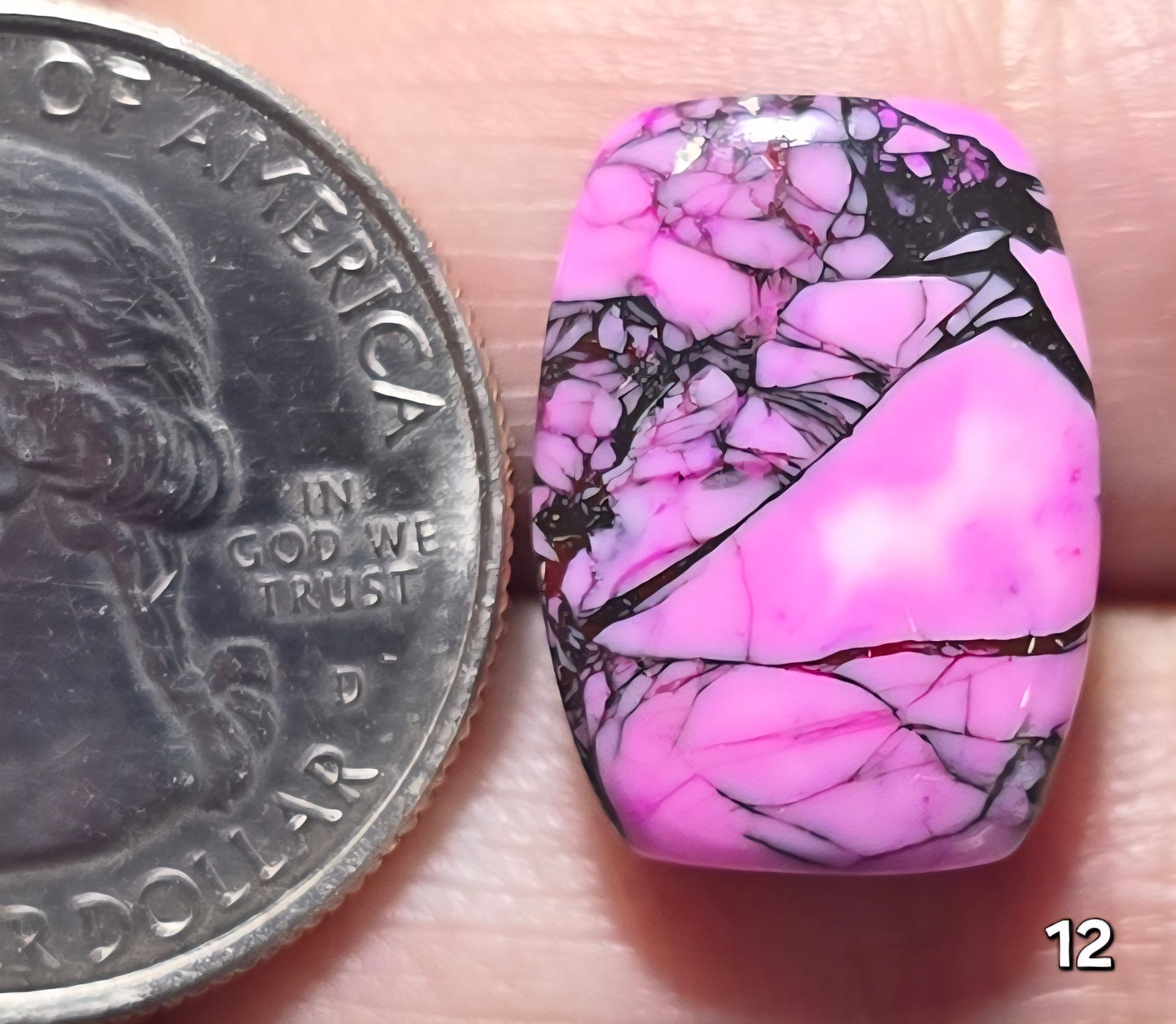 #12 Cherry Blossom Dahlia