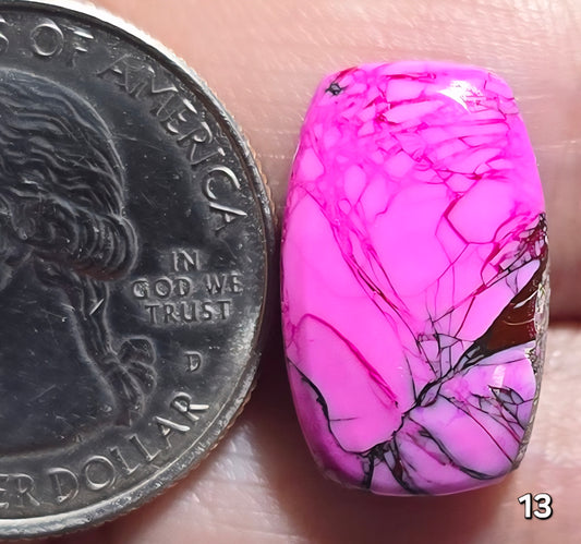 #13 Cherry Blossom Dahlia