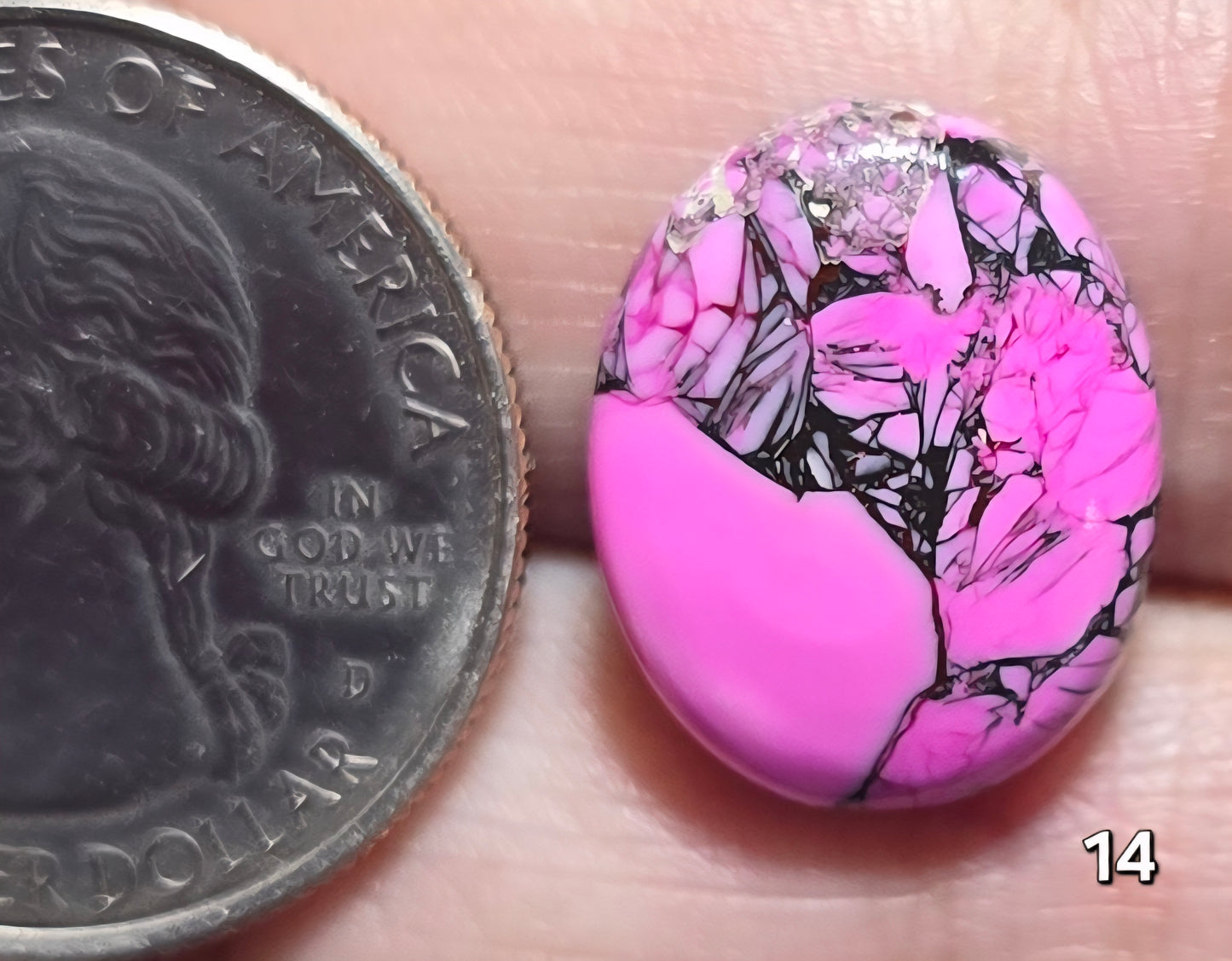 #14 Cherry Blossom Dahlia