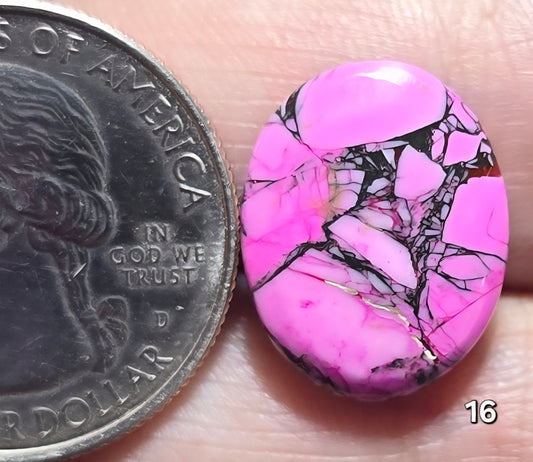 #16 Cherry Blossom Dahlia