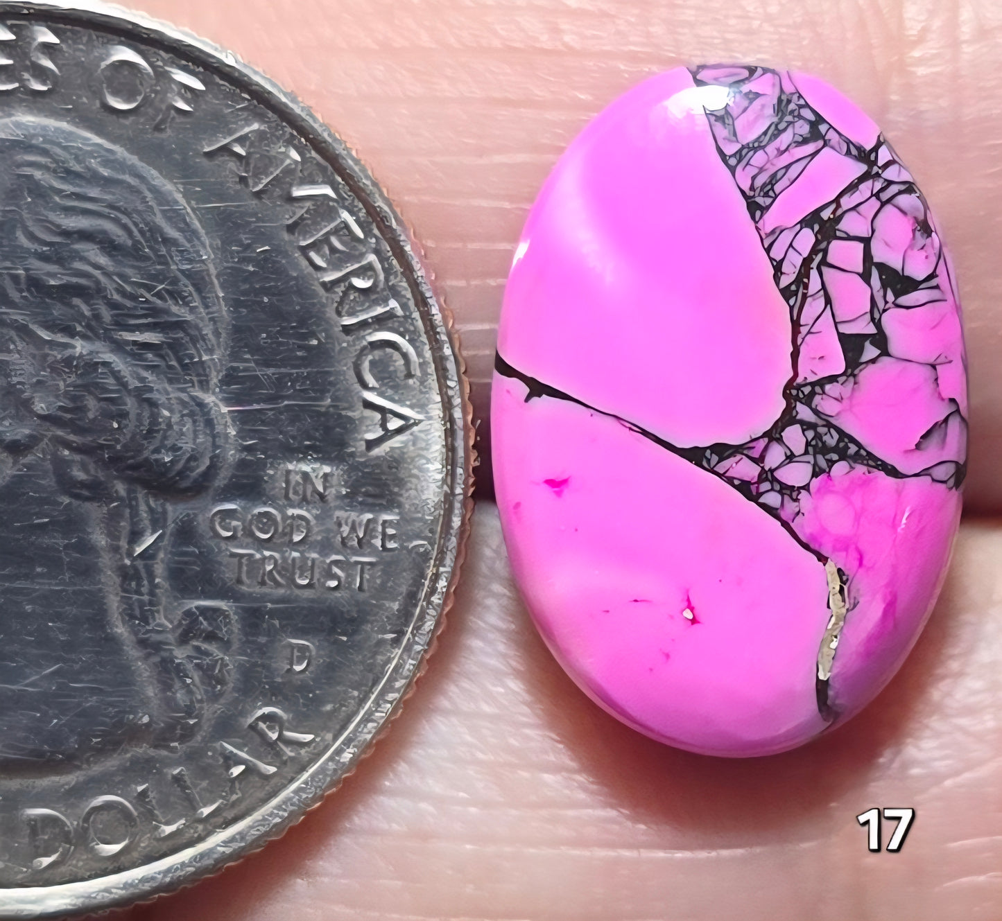 #17 Cherry Blossom Dahlia