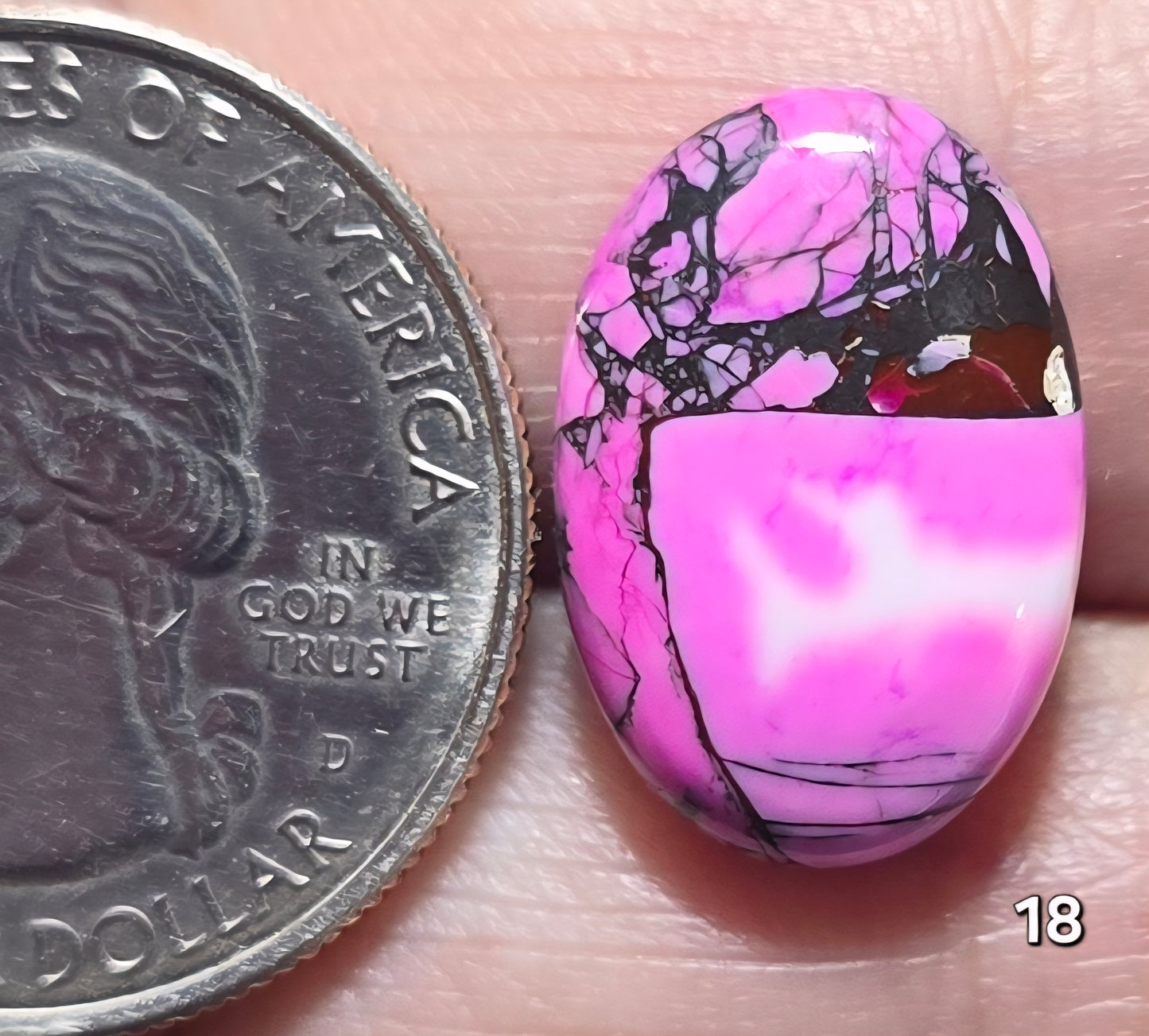 #18 Cherry Blossom Dahlia