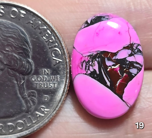 #19 Cherry Blossom Dahlia