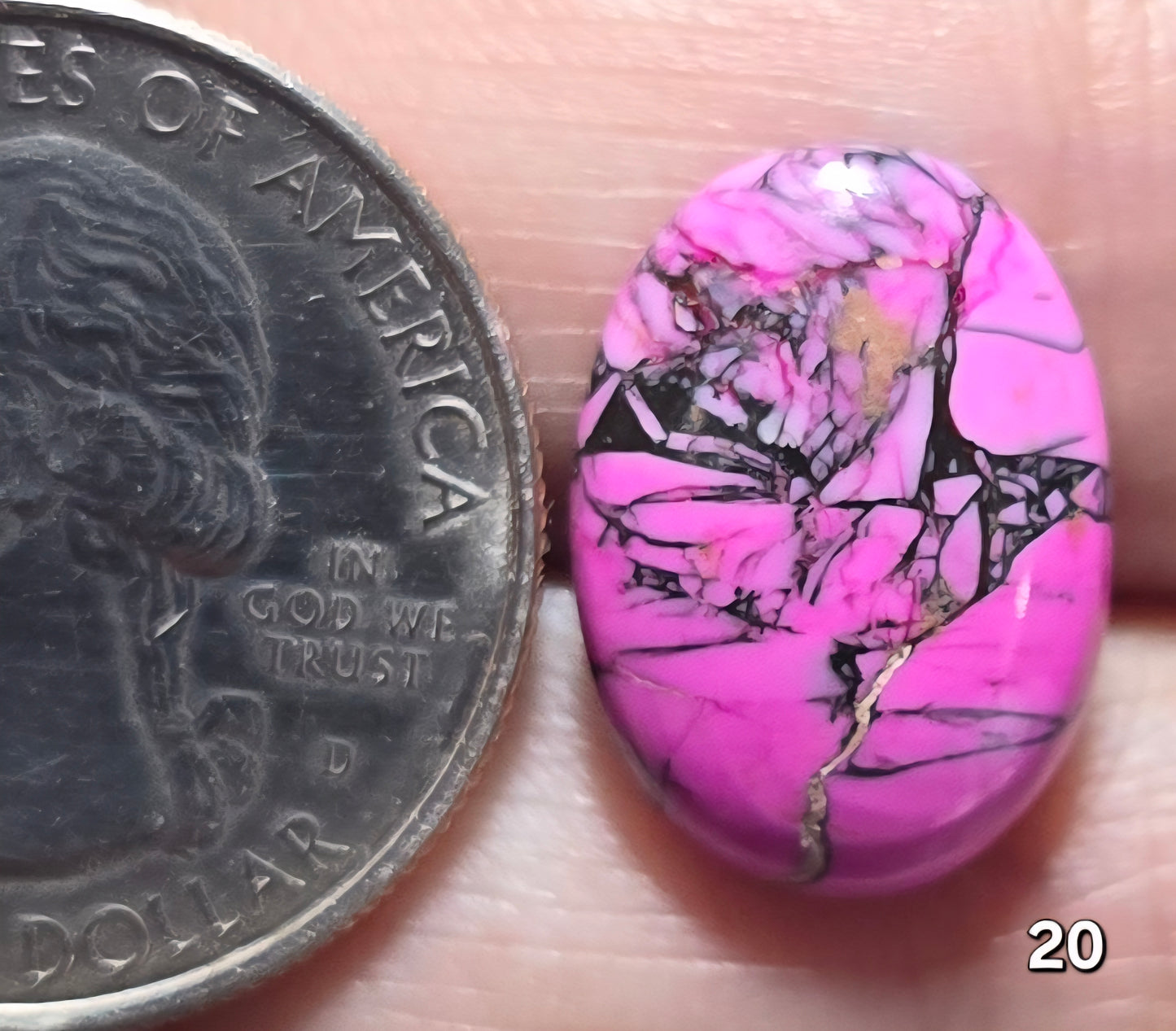 #20 Cherry Blossom Dahlia