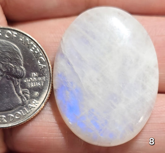 #8 Blue Flash Moonstone