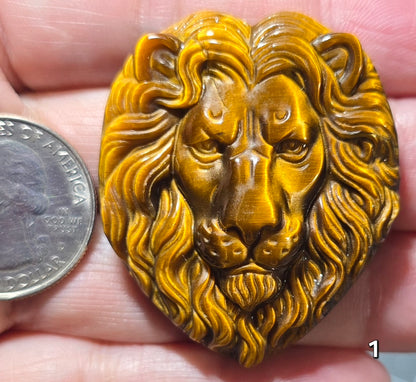 #1 Lion Head Tiger Eye Carving