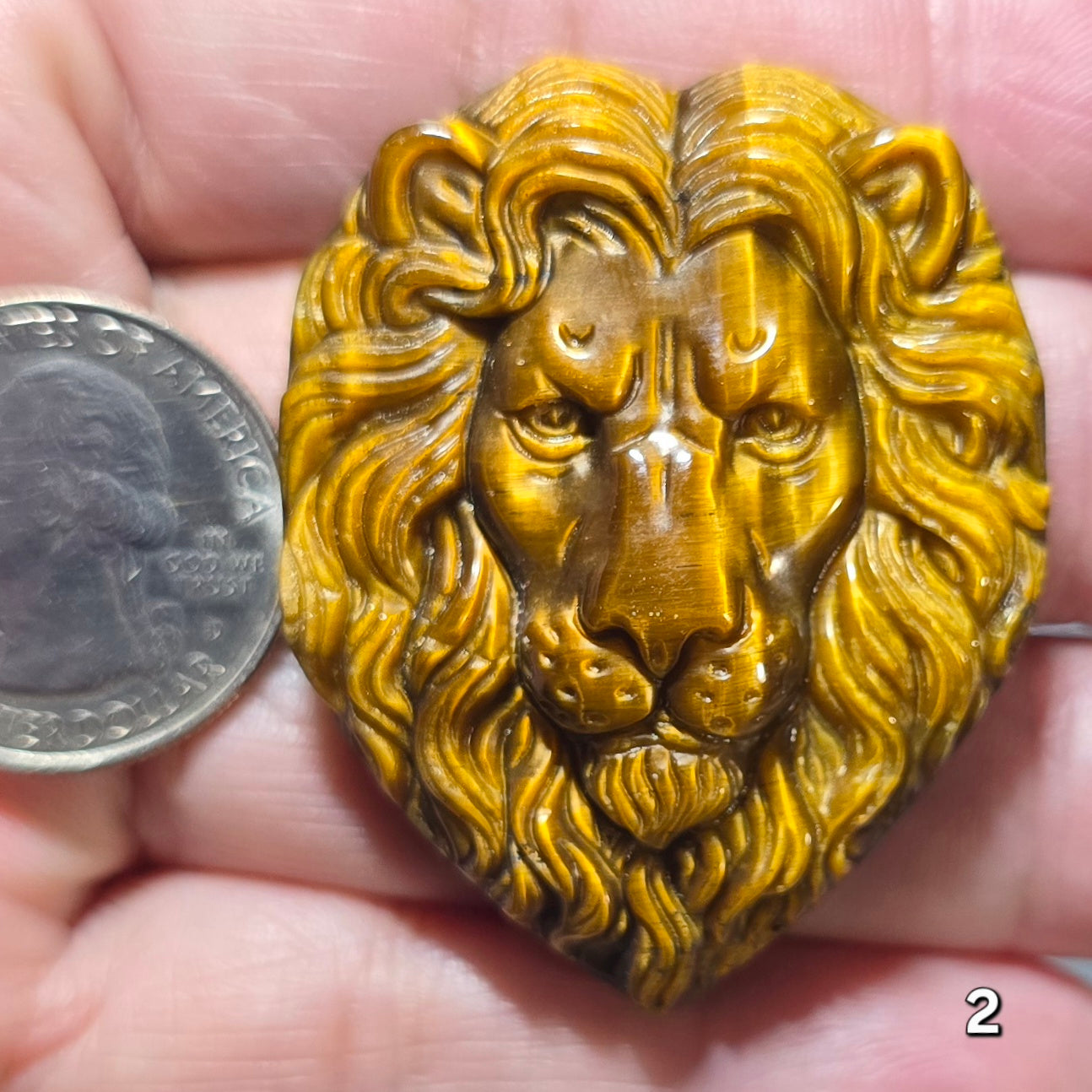 #2 Lion Head Tiger Eye Carving