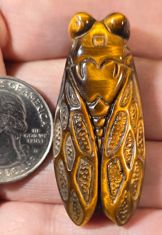 Cicada Tiger Eye Carving