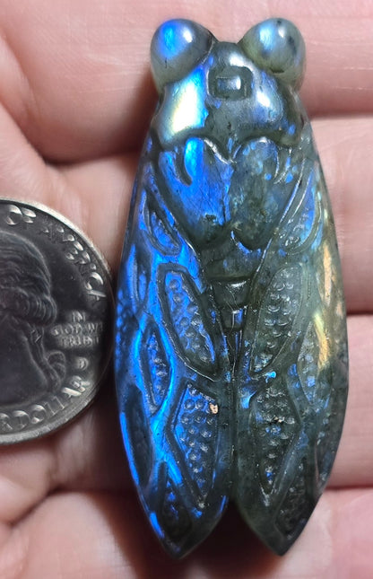 Cicada Rainbow Labradorite Carving