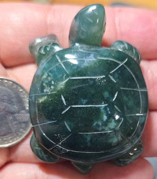 Moss Agate Turtle