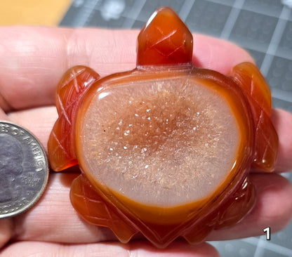 #1 Carnelian Druzy Sea Turtle