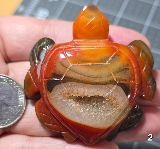 #2 Carnelian Druzy Sea Turtle
